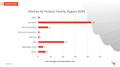 Figure 2. Breakdown of product families affected by August 2024 Patch Tuesday